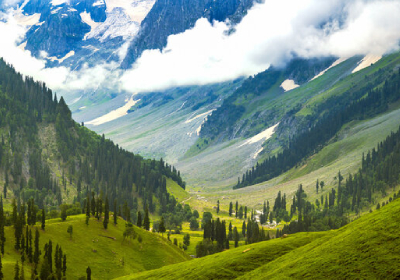 Amritsar to Gulmarg Taxi